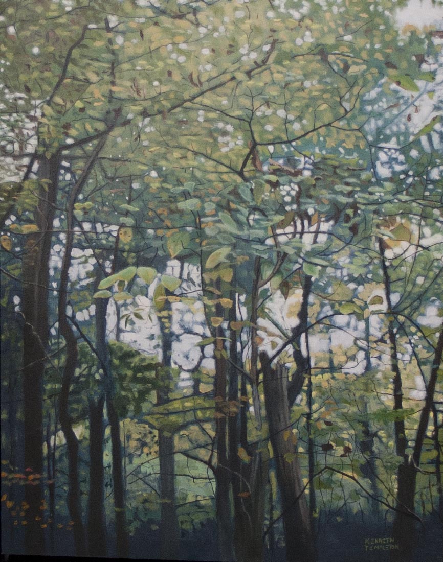 Nags Head Woods